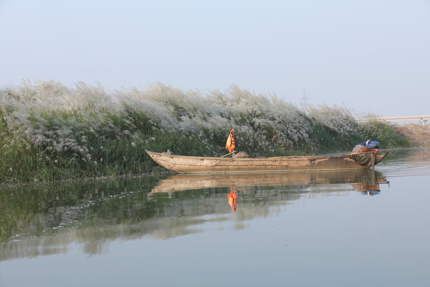 A dugout canoe on a jungle river