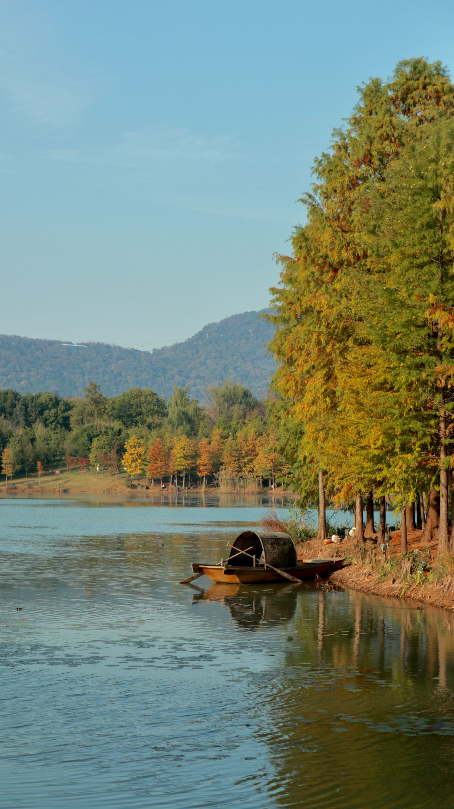A boat drifting down a jungle river
