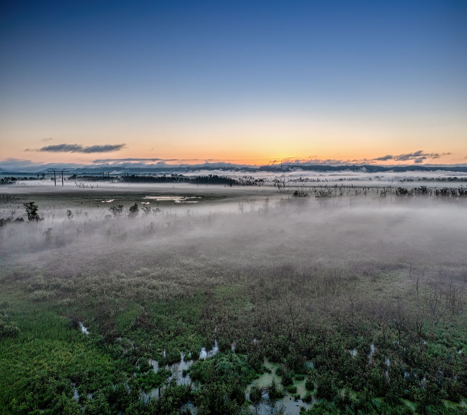 Wetland at sunrise